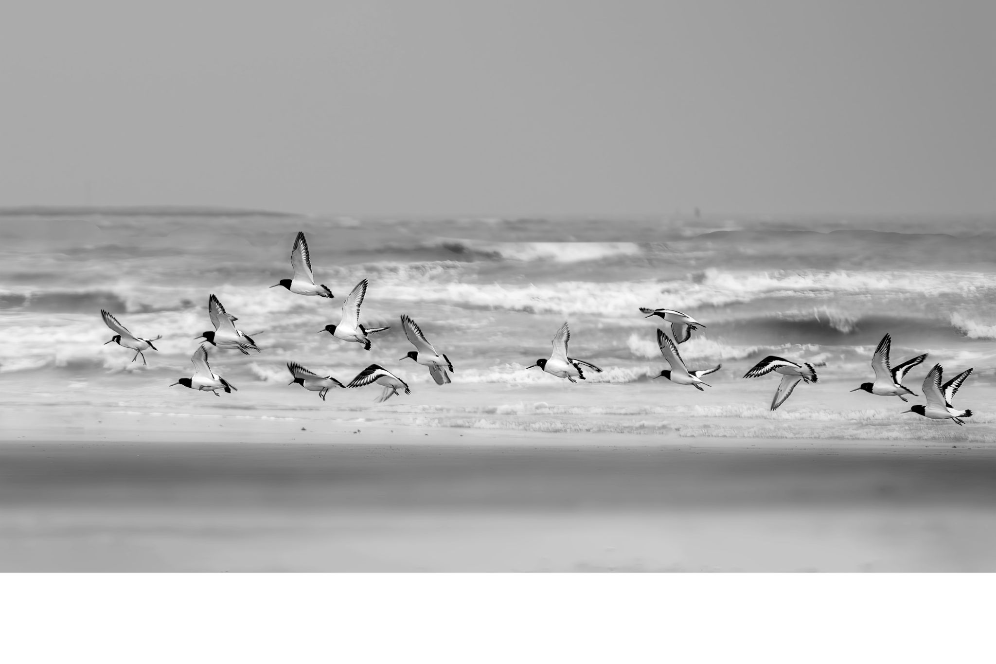 Un air de liberté3 12X18 !